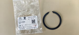 СТОПОРНОЕ КОЛЬЦО ПОРШНЯ AL4 / DP0 2310.96 PSA